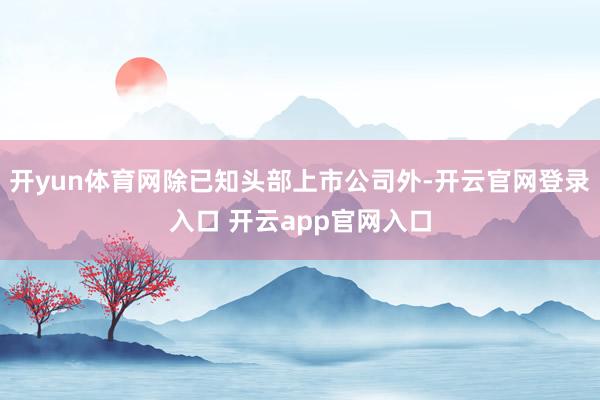开yun体育网除已知头部上市公司外-开云官网登录入口 开云app官网入口