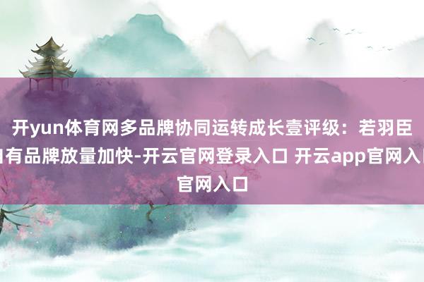 开yun体育网多品牌协同运转成长壹评级：若羽臣自有品牌放量加快-开云官网登录入口 开云app官网入口
