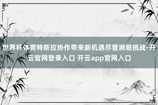 世界杯体育特斯拉协作带来新机遇尽管濒临挑战-开云官网登录入口 开云app官网入口