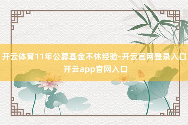 开云体育11年公募基金不休经验-开云官网登录入口 开云app官网入口